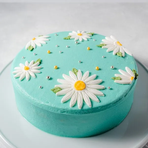 DC - 108 (1kg Ribbon Cake - 8")