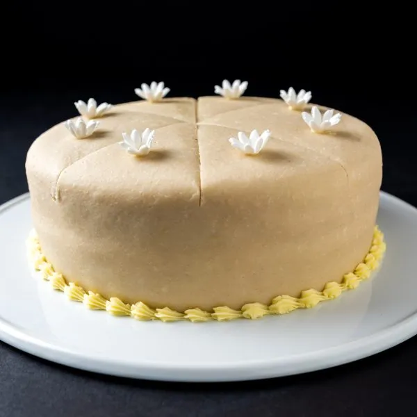 Ribbon Surprise (8” 1.5kg)