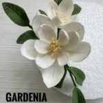 Gardenia