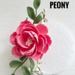 Peony