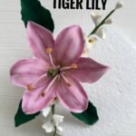 Tiger Lily